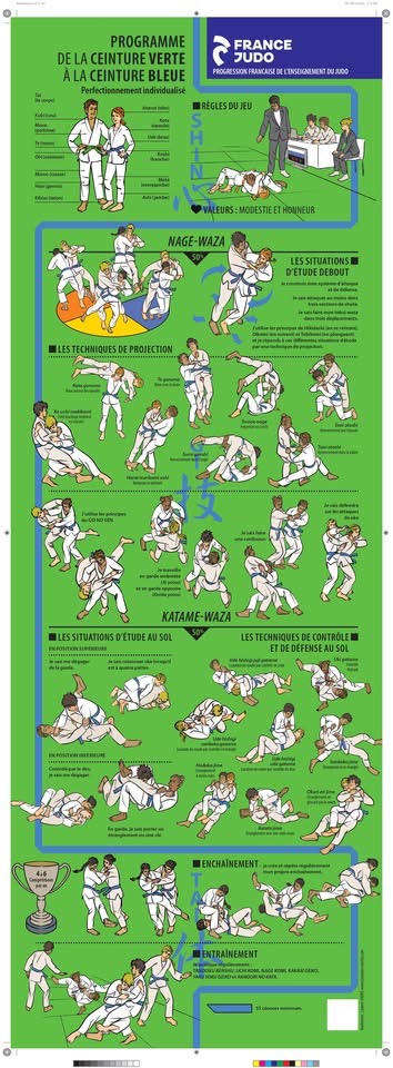 Ceinture bleue - progression officielle
